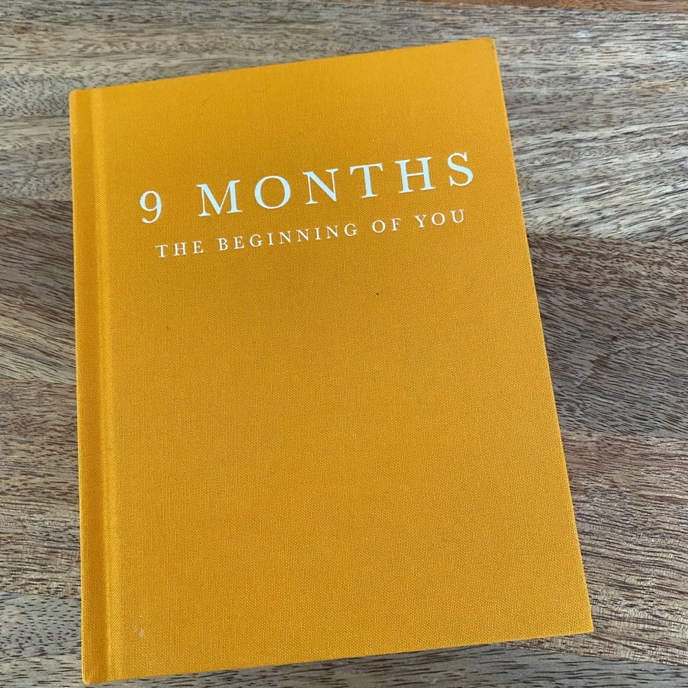 9 Months The Beginning of You Journal
